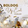Boldog Új Évet kívánunk!